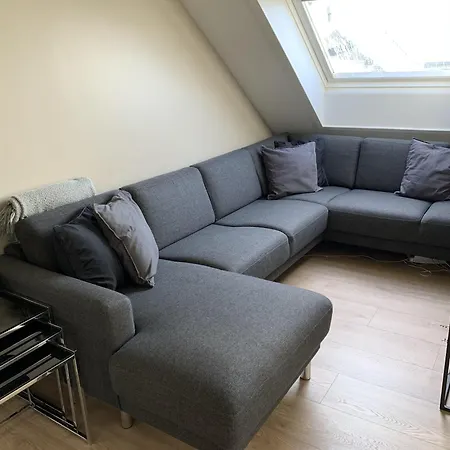 Great 8 Person House Free Use Of Car! *