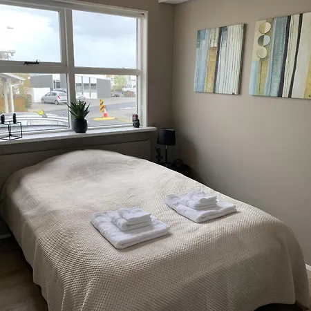 Great 8 Person House Free Use Of Car! * Reykjavik